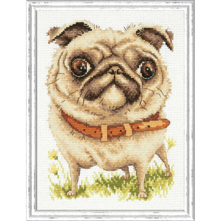 Pug-dog 16-17 Counted Cross-Stitch Kit