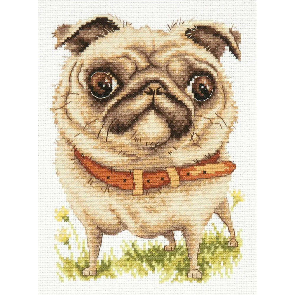 Pug-dog 16-17 Counted Cross-Stitch Kit