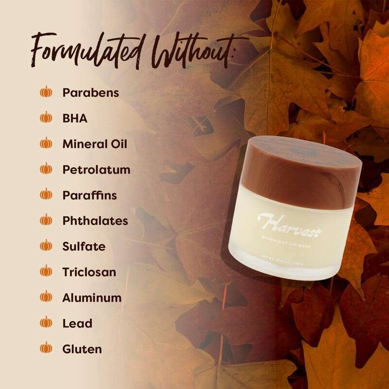 Pumpkin Spice | Harvest Overnight Lip Mask