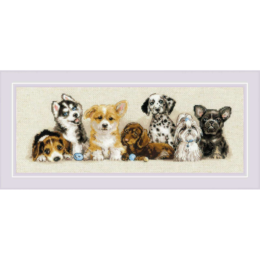 Puppies R2221 Counted Cross Stitch Kit