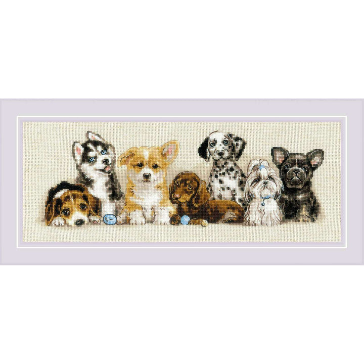 Puppies R2221 Counted Cross Stitch Kit