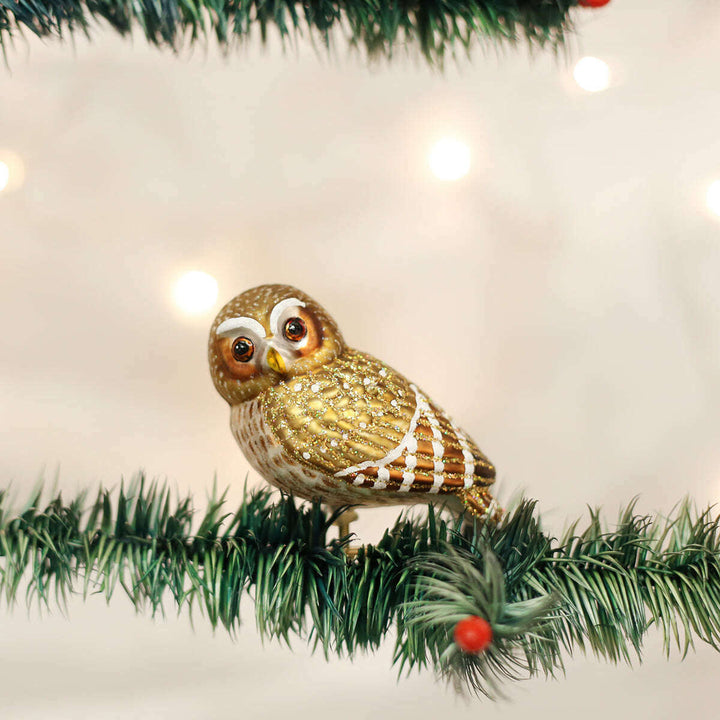 Old World Christmas Pygmy Owl Blown Glass Ornament