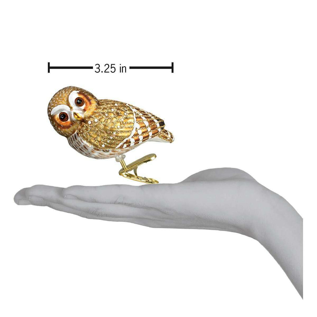 Old World Christmas Pygmy Owl Blown Glass Ornament