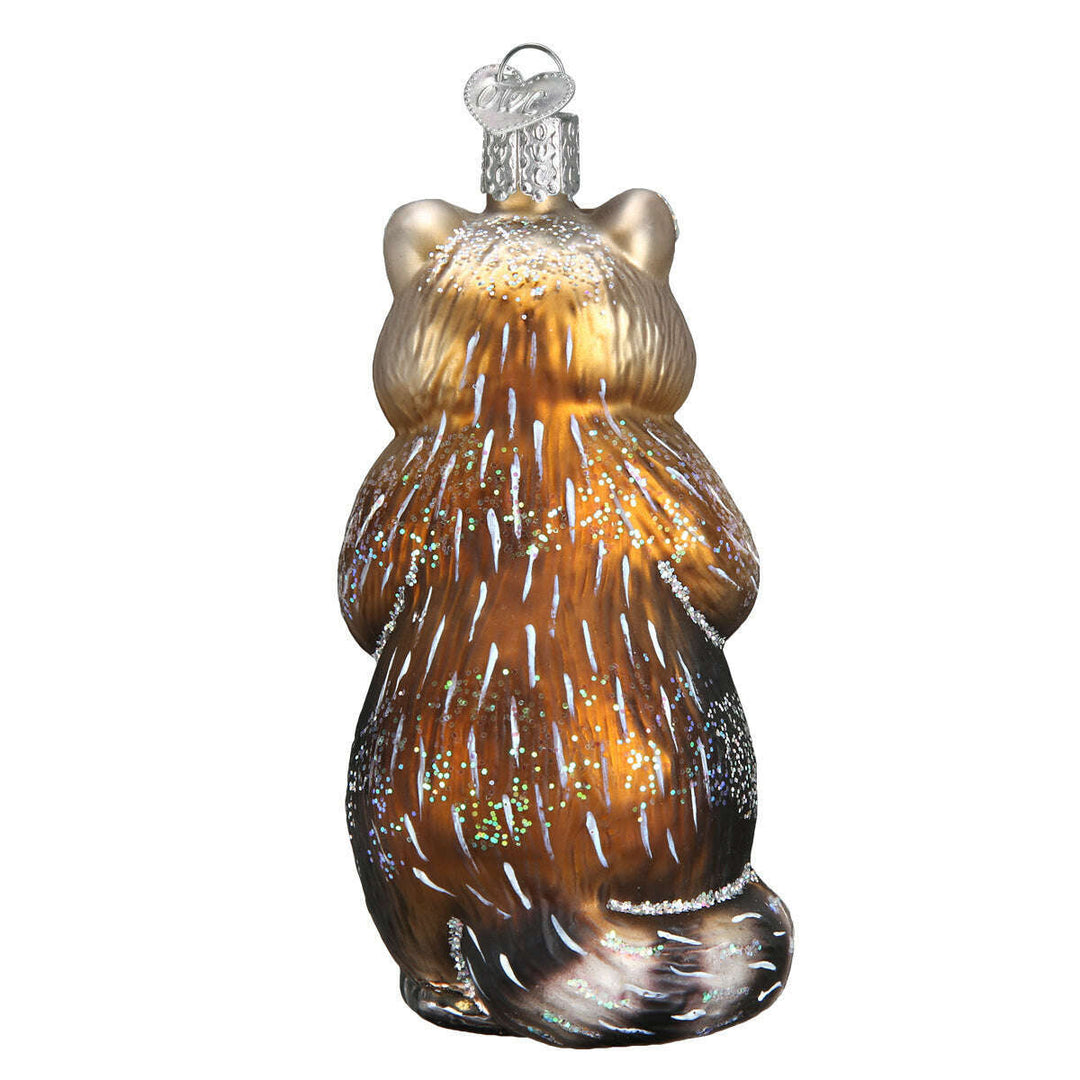 Old World Christmas Raccoon Blown Glass Ornament