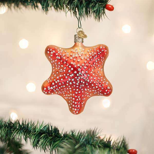 Old World Christmas Red Starfish Blown Glass Ornament