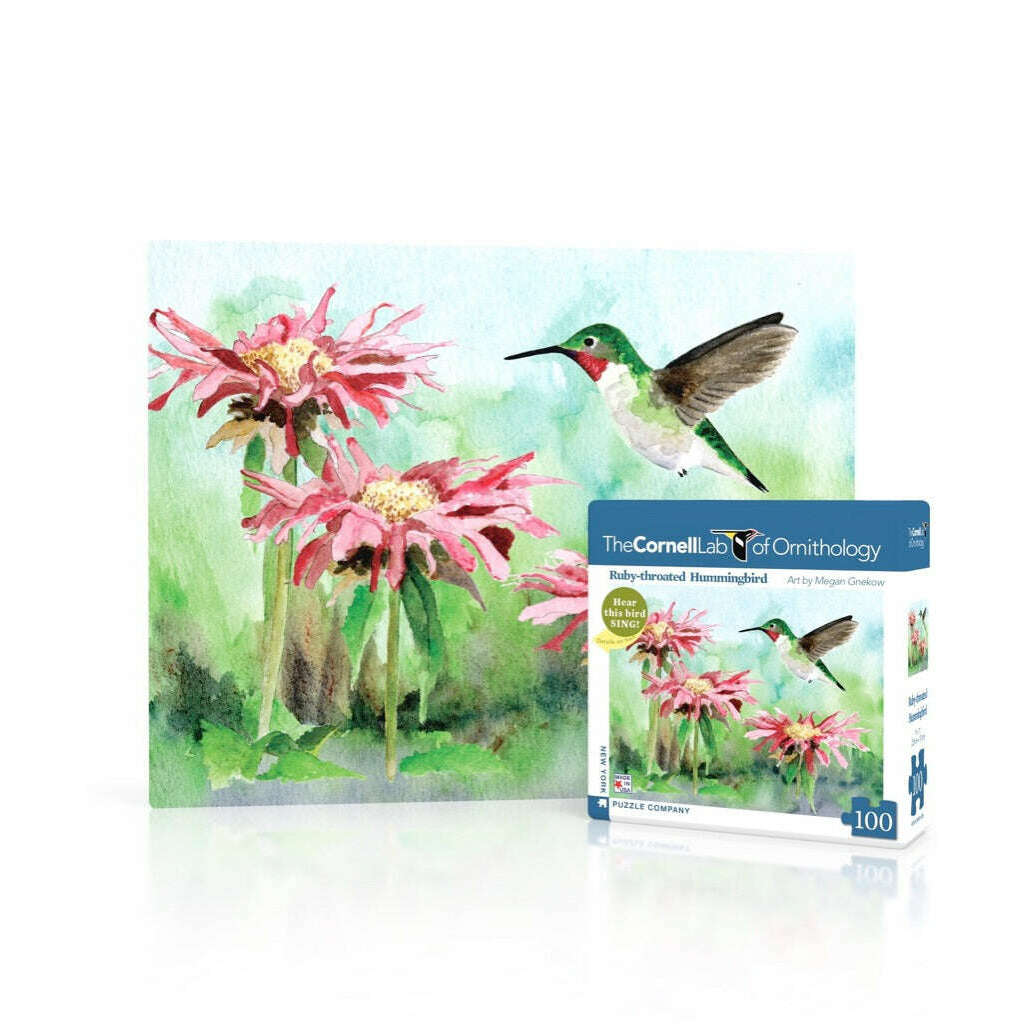 Ruby-throated Hummingbird Mini