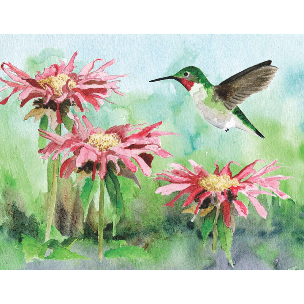 Ruby-throated Hummingbird Mini