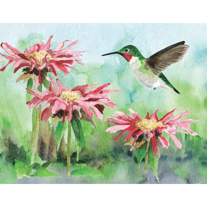 Ruby-throated Hummingbird Mini