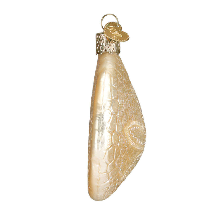 Old World Christmas Sand Dollar Blown Glass Ornament