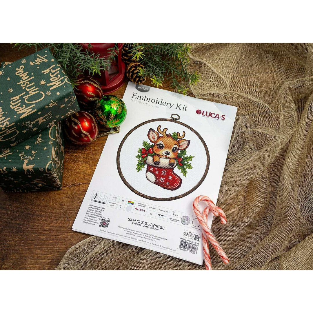 Santa's Surprise BC236L Counted Cross-Stitch Kit