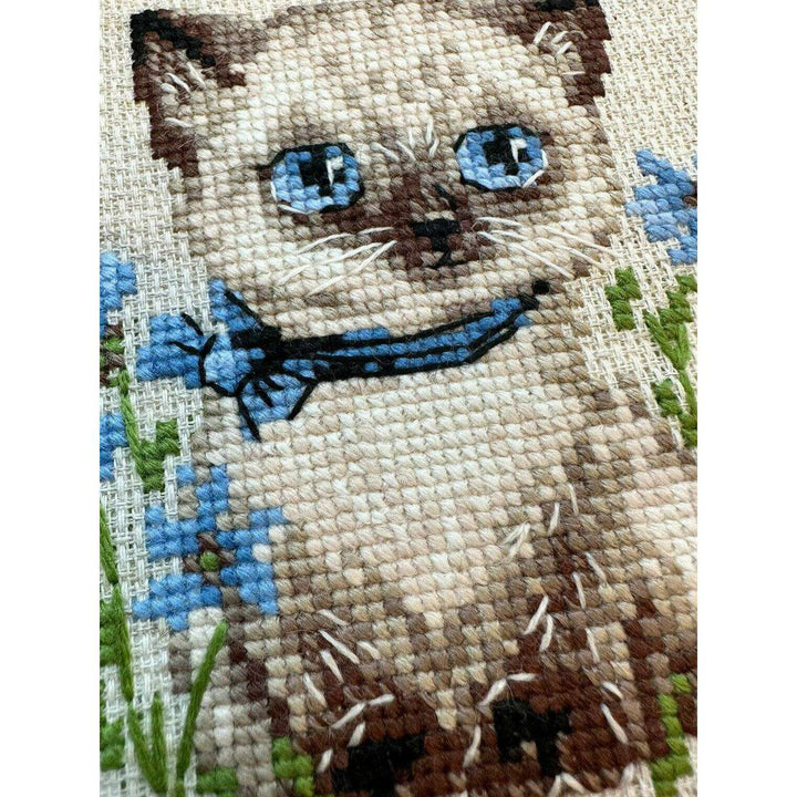 Siamese Kitten R2118 Counted Cross Stitch Kit