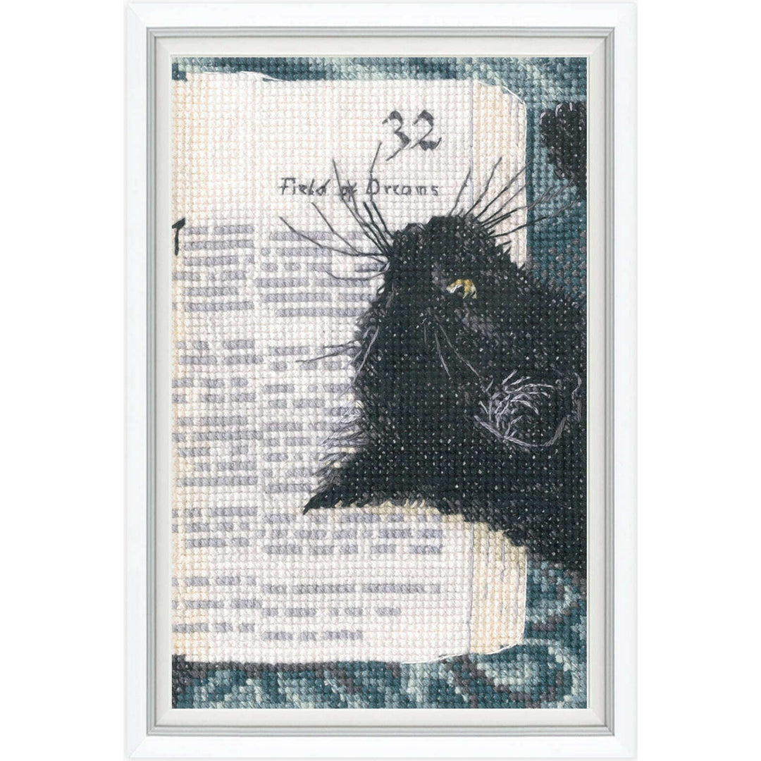 Silence in the library C424 Counted Cross Stitch Kit