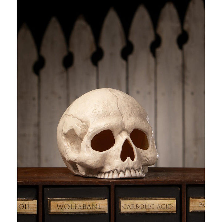 Skull Votive by Bethany Lowe Designs image