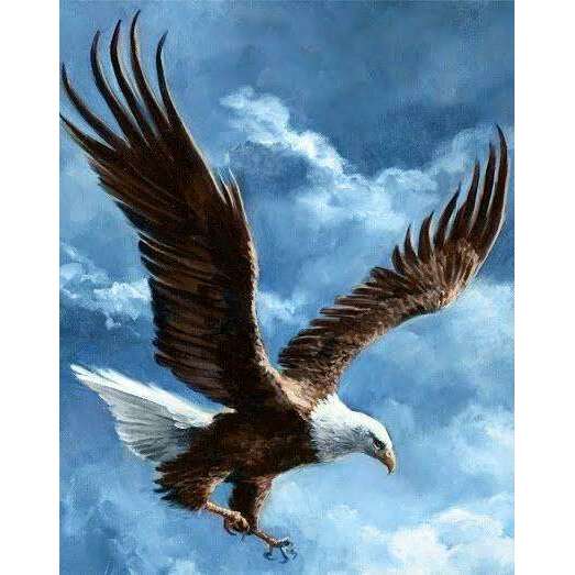 Sky Conqueror WD2346 14.9 x 18.9 inches Wizardi Diamond Painting Kit