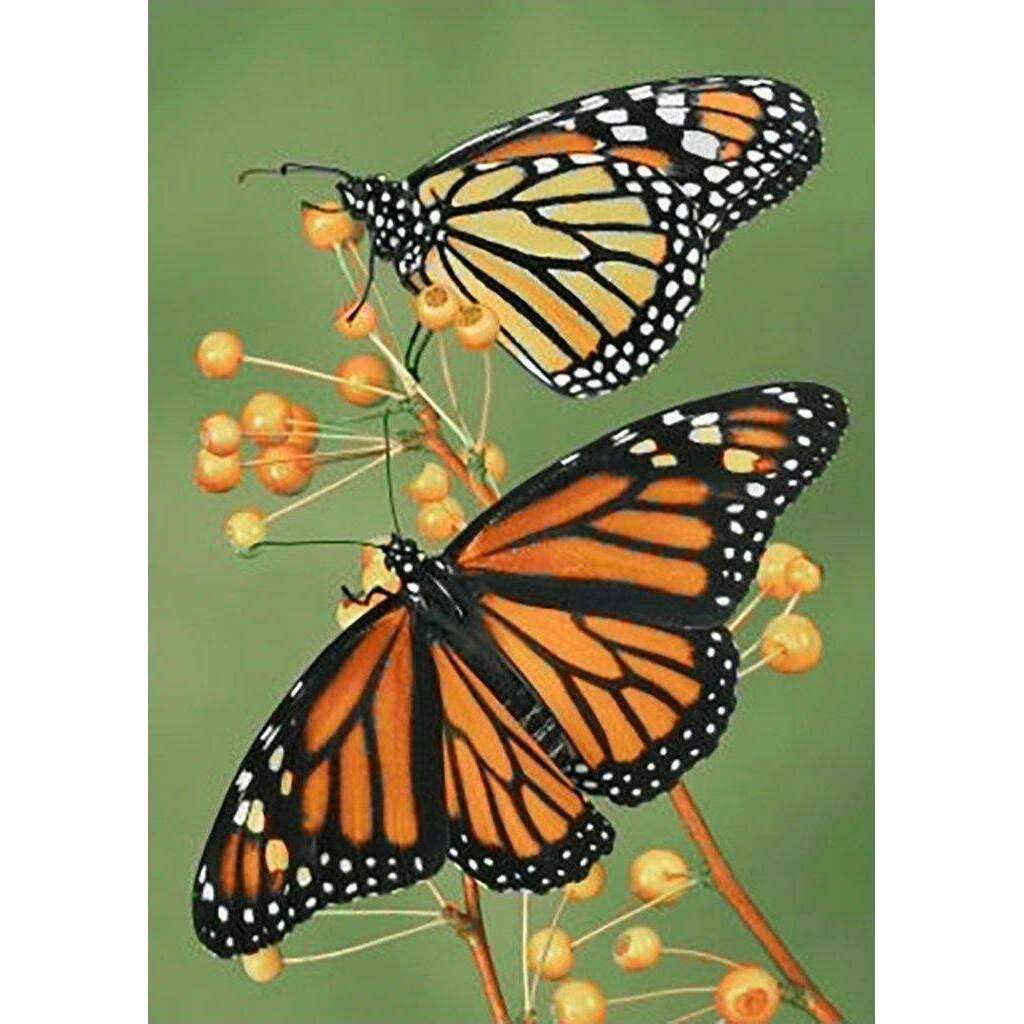 Softness WD061 10.6 x 14.9 inches Wizardi Diamond Painting Kit