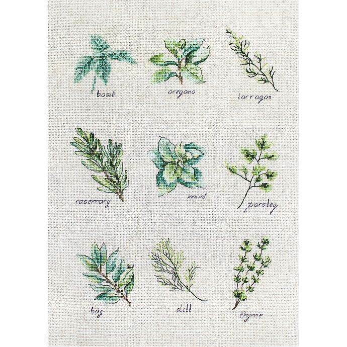 Spices and herbs B2346L Counted Cross-Stitch Kit