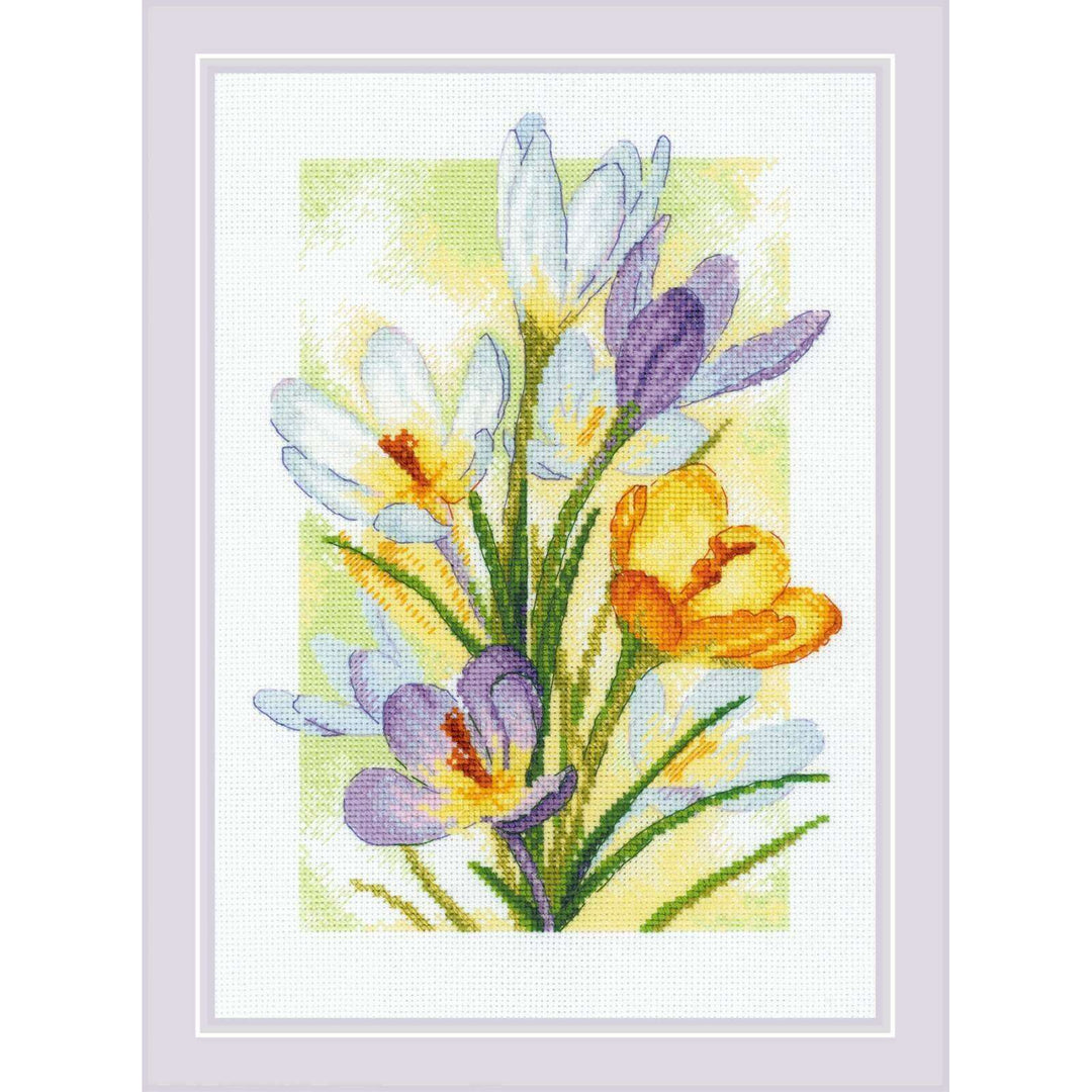 Spring Glow. Crocuses R2190 Counted Cross Stitch Kit