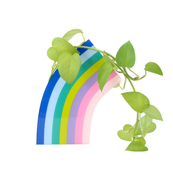 Blue Half Rainbow Arch Standing Propagation Planter