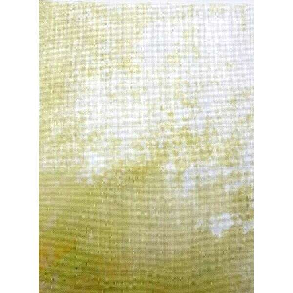 Sunlit Canopy Designer Printed AIDA Fabric. Canvas for embroidery with an applied background  KF-1133A