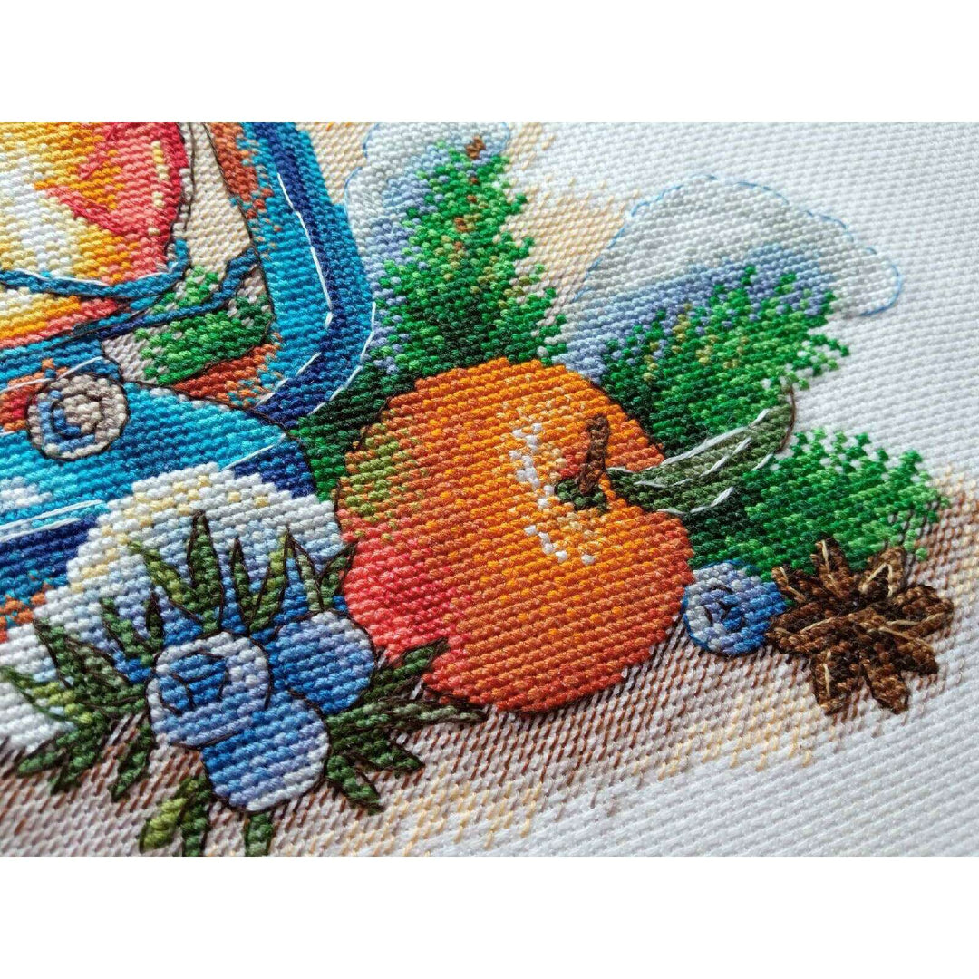 Tangerine Aroma SNV-757 Counted Cross Stitch Kit