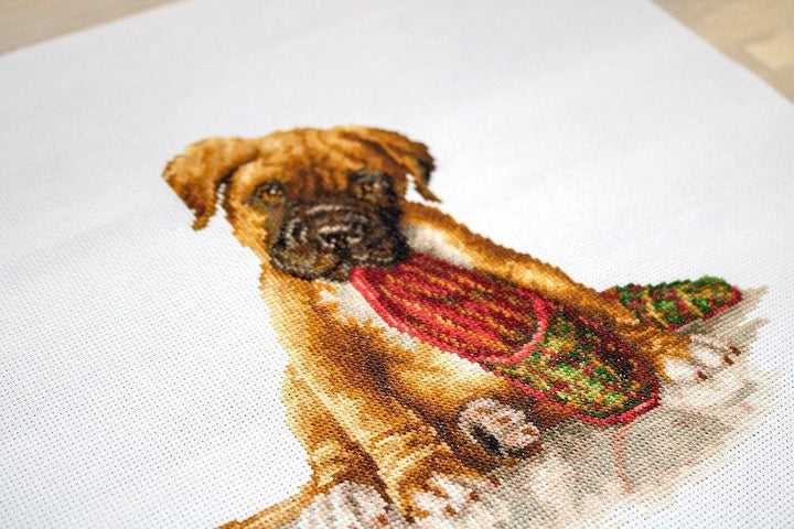 The Boxer B2338L Counted Cross-Stitch Kit