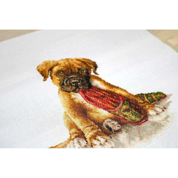 The Boxer B2338L Counted Cross-Stitch Kit
