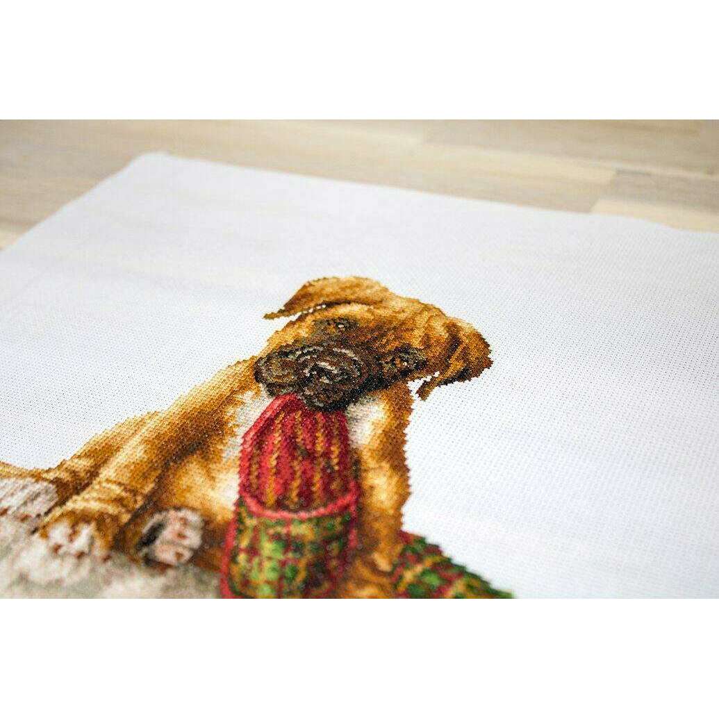 The Boxer B2338L Counted Cross-Stitch Kit