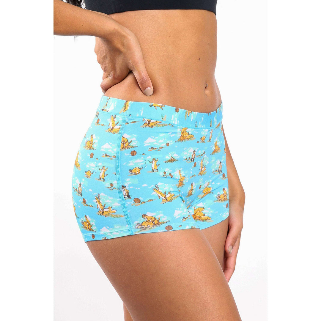 The Brokeback Mounted | Prairie Dog Modal Boyshort Underwear