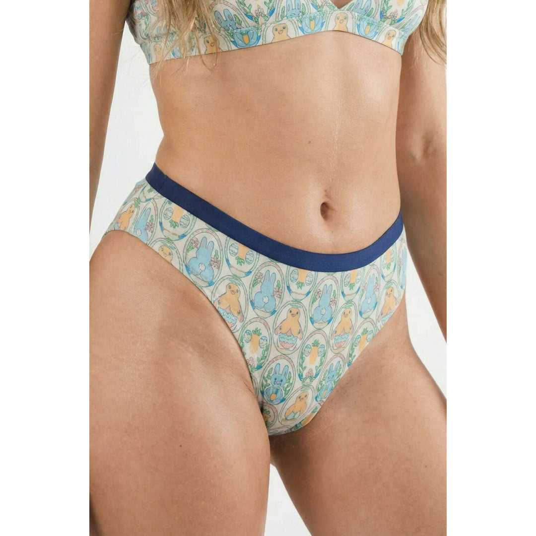 The Chicks Dig It | Pastel Easter Cheeky Underwear