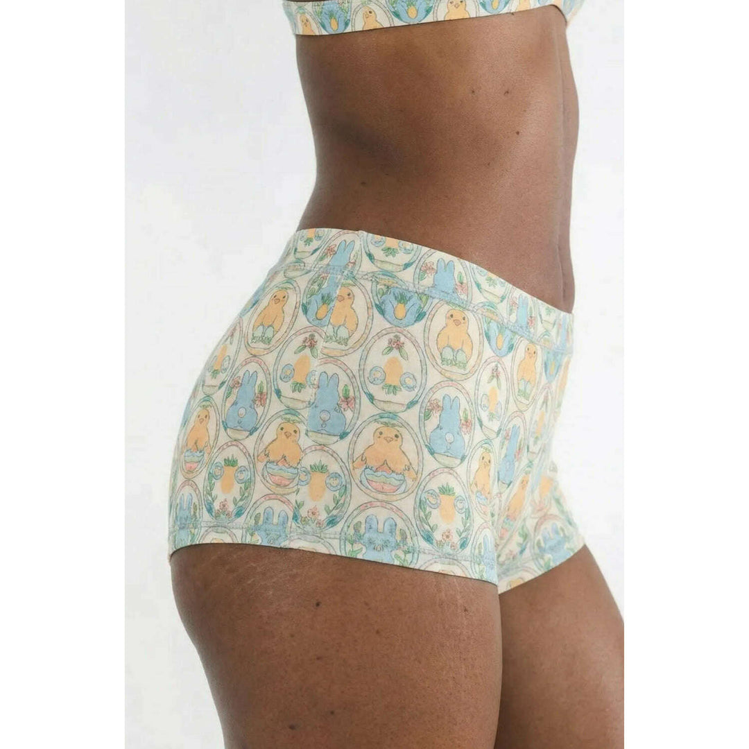 The Chicks Dig It | Pastel Easter Modal Boyshort Underwear