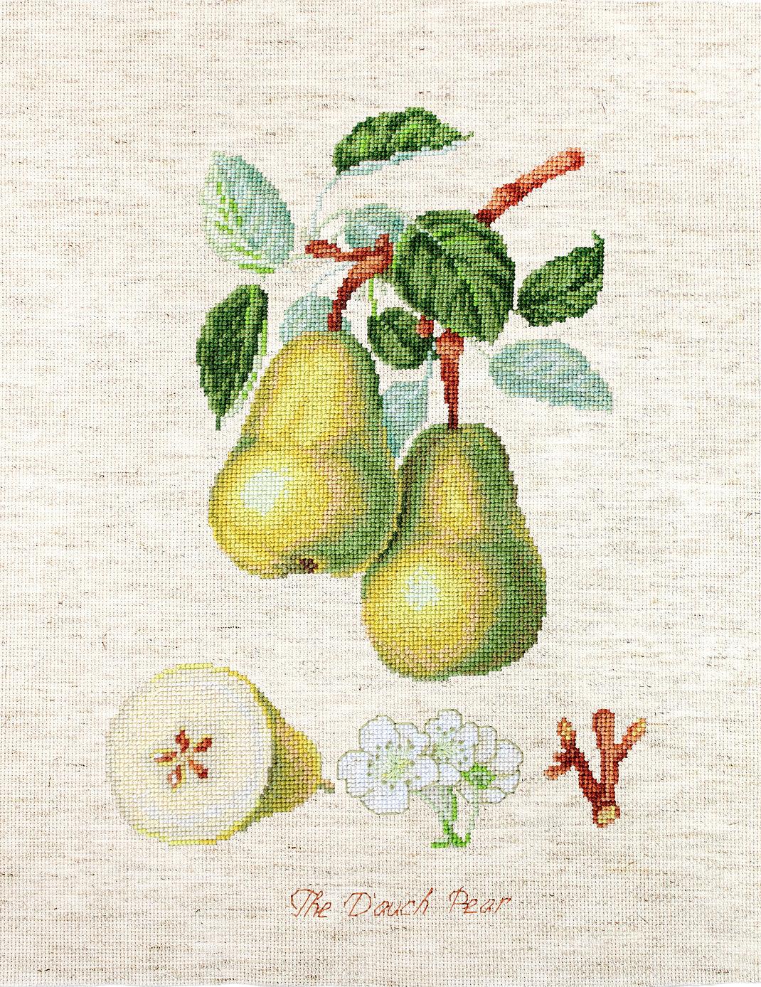 The Dauch Pear BA22420L Counted Cross-Stitch Kit