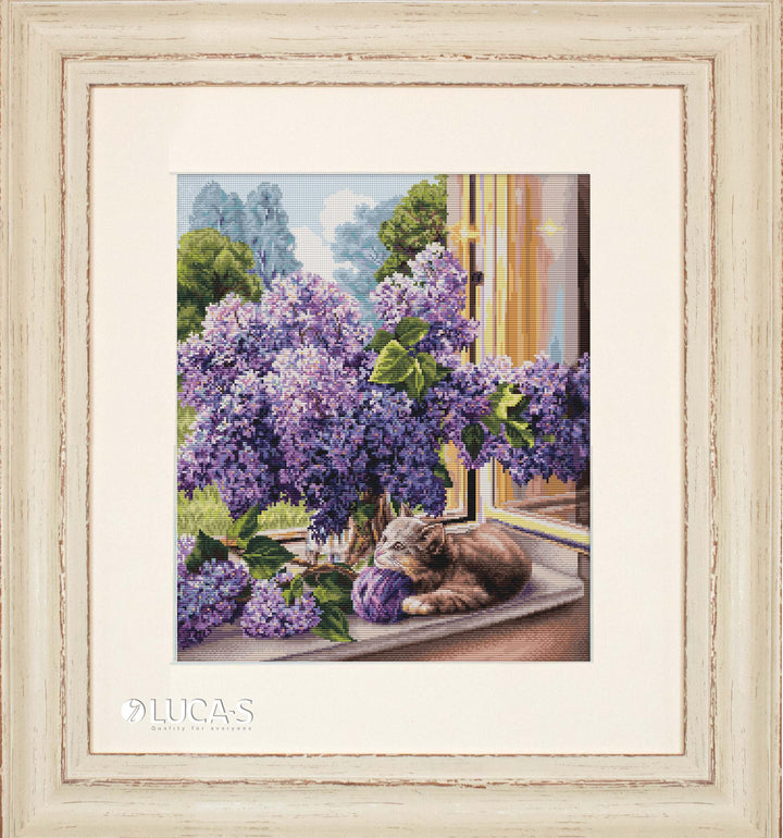 The Dreamer BU5015L Counted Cross-Stitch Kit