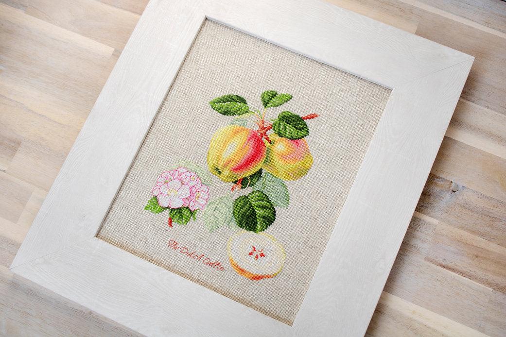 The Dutch Codlin BA22440L Counted Cross-Stitch Kit