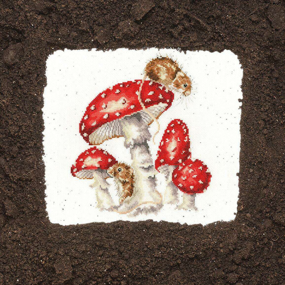 The Fairy Ring XHD101 Counted Cross Stitch Kit