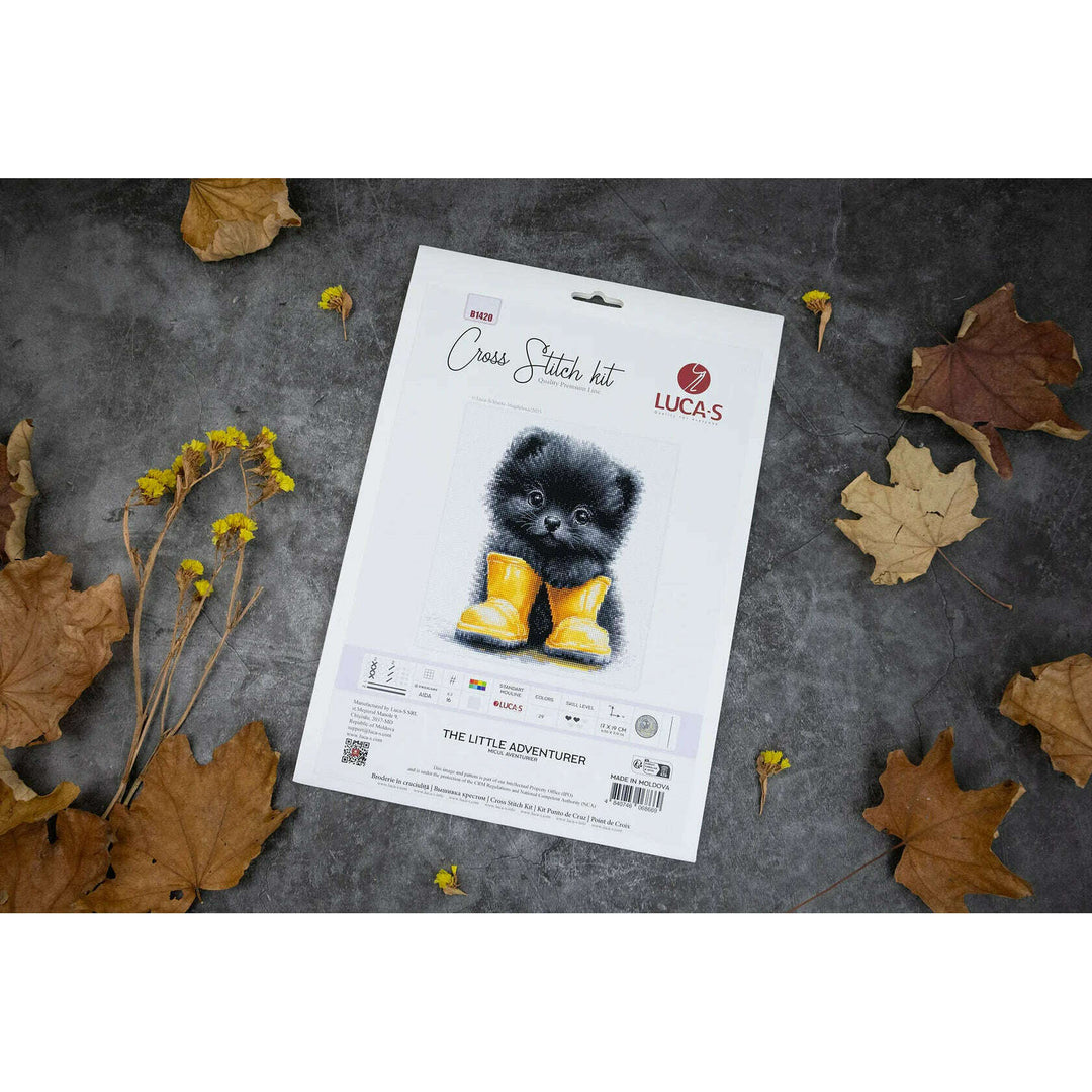 The Little Adventurer B1420L Counted Cross-Stitch Kit