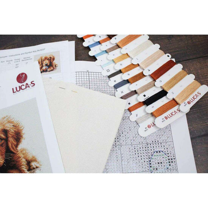 The Play Time BU5037L Counted Cross-Stitch Kit