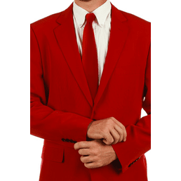 The Ron Burgundy | Burgundy Solid Suit Tie