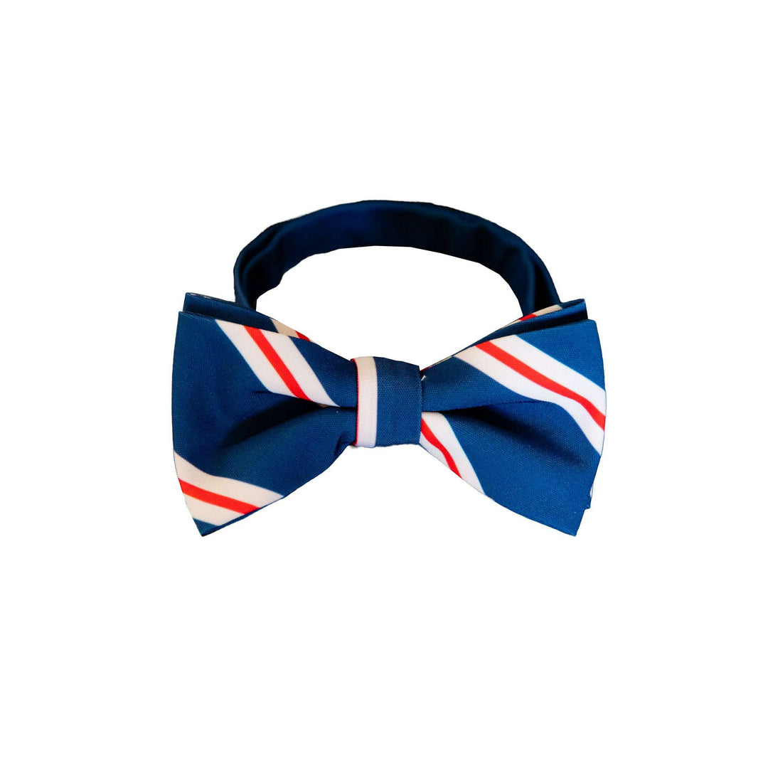 The Trust Funder | Bow Tie