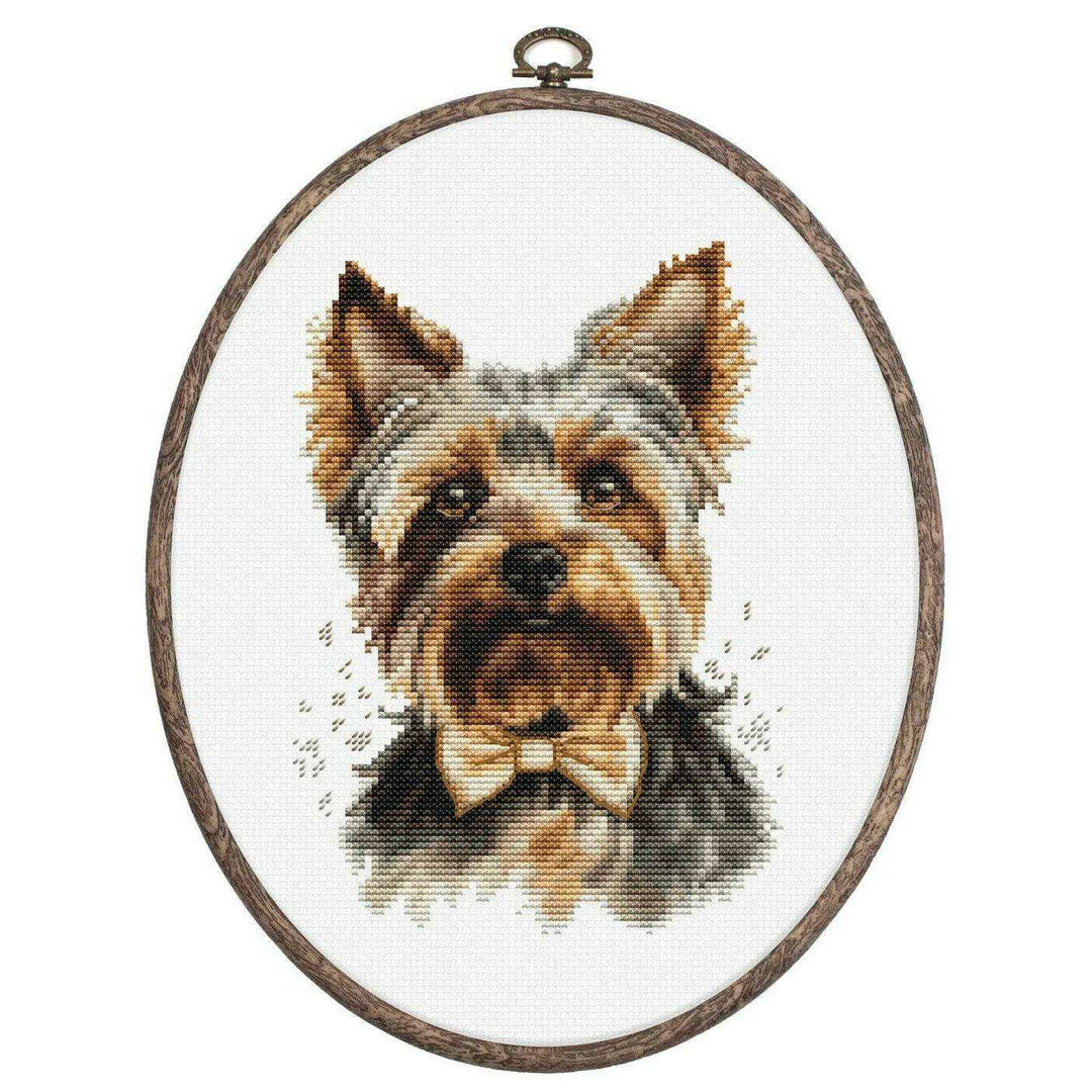 The Yorkshire Terrier  BC228L Counted Cross-Stitch Kit