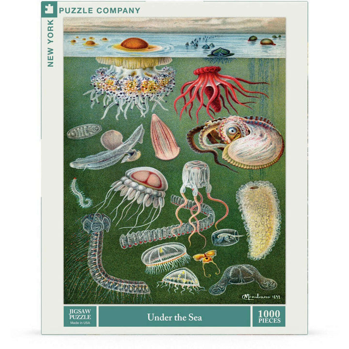 Under the Sea Jigsaw Puzzle