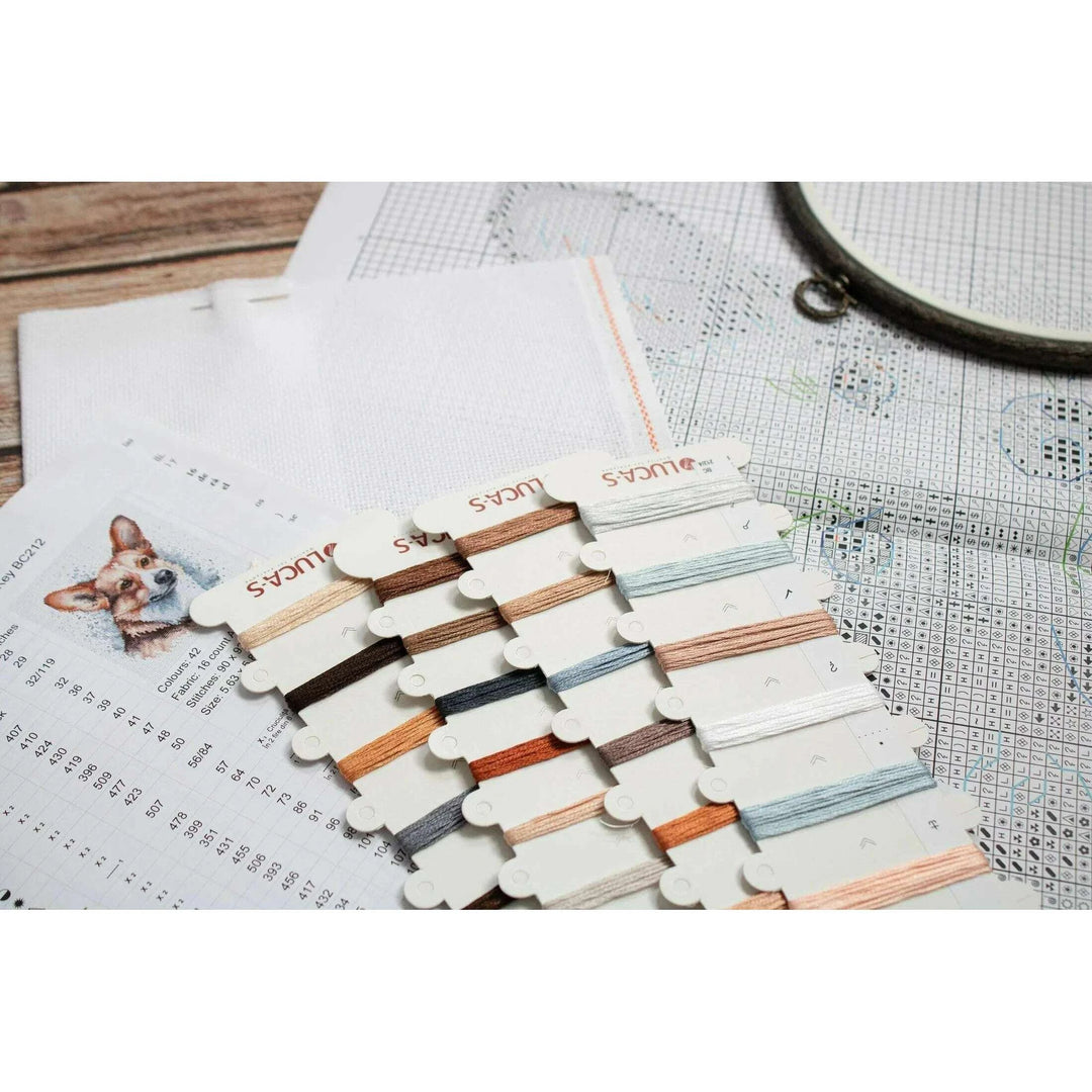 Welsh BC212l Counted Cross-Stitch Kit