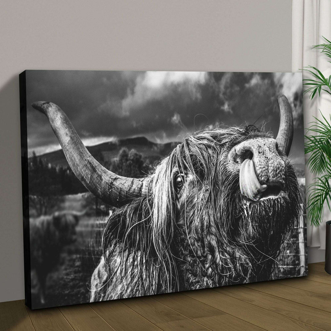 West Highland Cow Monochrome Canvas Wall Art