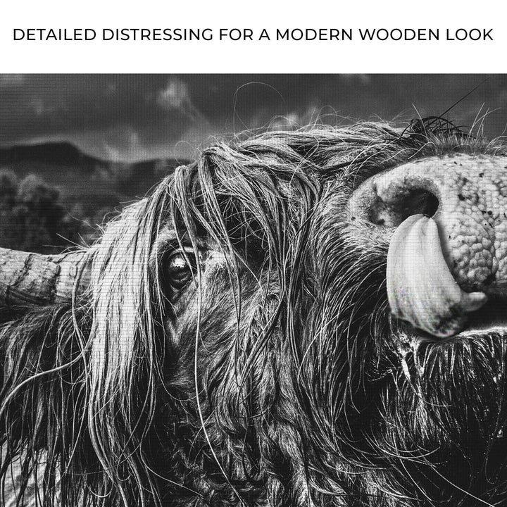 West Highland Cow Monochrome Canvas Wall Art