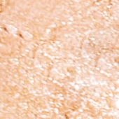 Whipped Glow Highlighter
