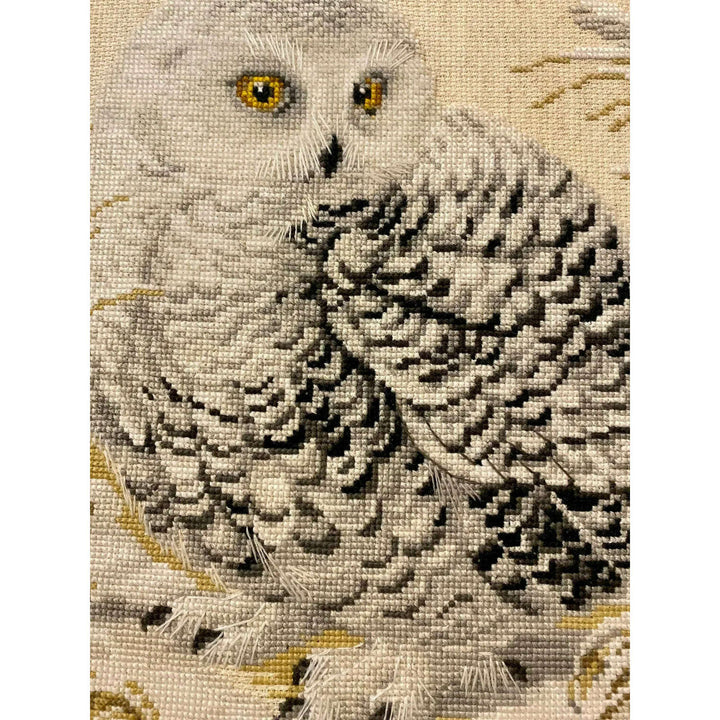 White Owl R1241 Counted Cross Stitch Kit