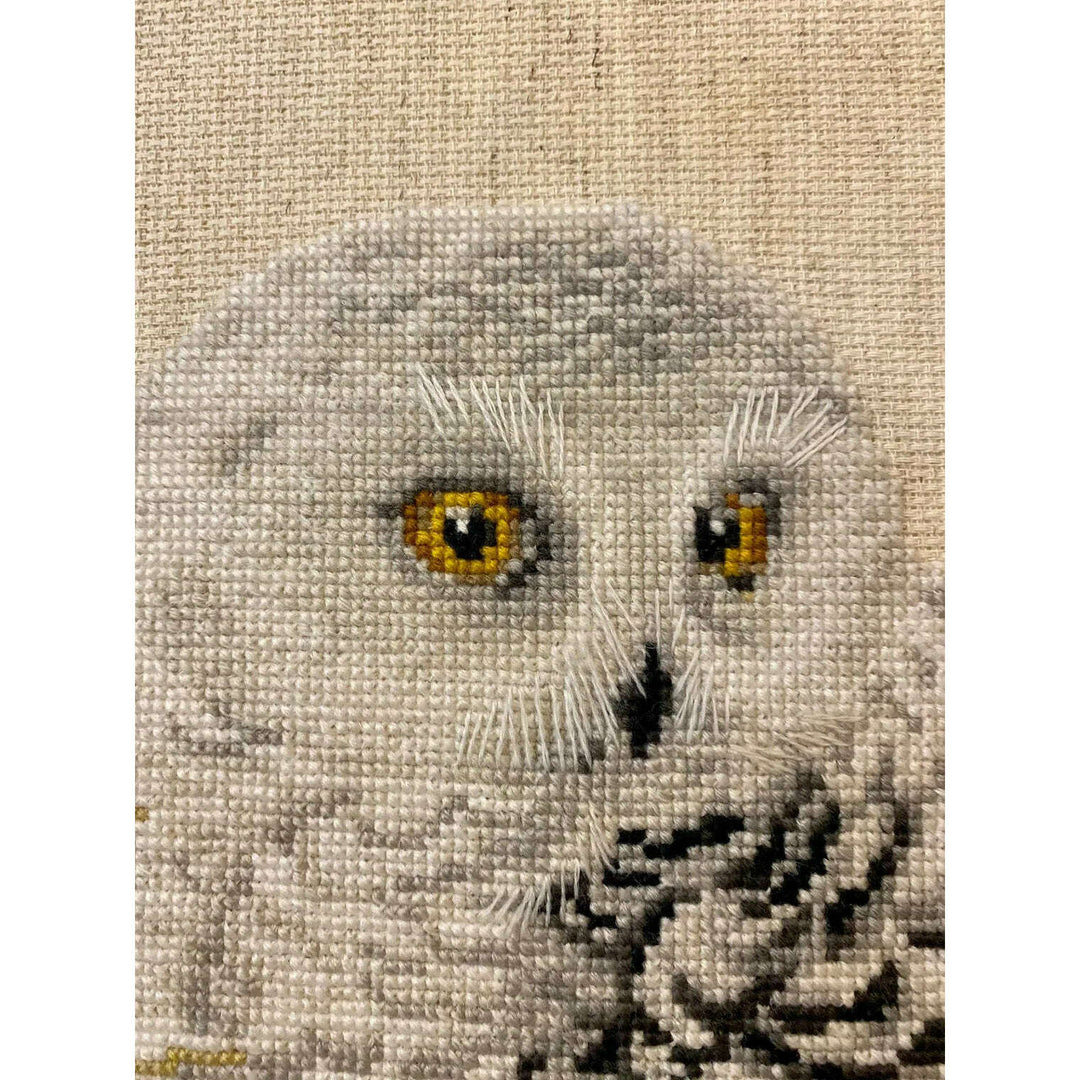 White Owl R1241 Counted Cross Stitch Kit