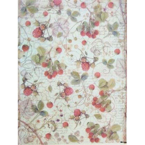 Wild Berry Vine Designer Printed AIDA Fabric. Canvas for embroidery with an applied background  KF-1260A