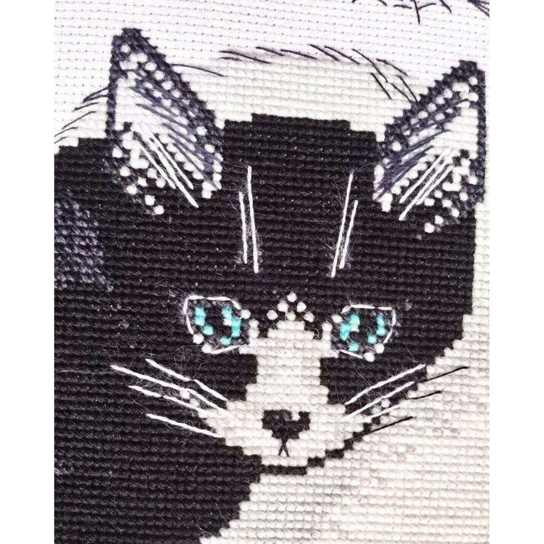 Yin and Yang R2150 Counted Cross Stitch Kit