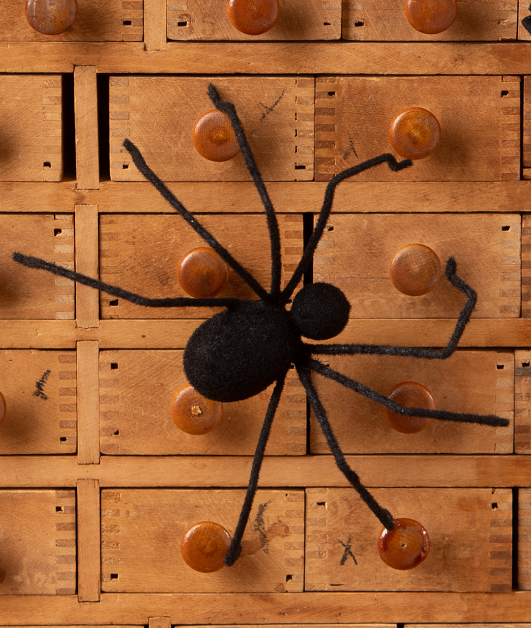 Black Flocked Creepy Crawler by Bethany Lowe Designs, image 4