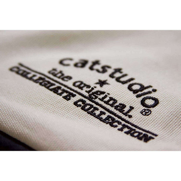 Boston University Collegiate Embroidered Pillow by CatStudio